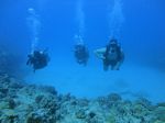 Hawaii Scuba divng 72