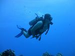 Hawaii Scuba divng 74