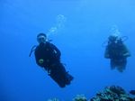 Hawaii Scuba divng 75