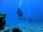 Hawaii Scuba divng 76