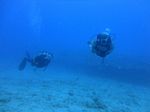 Hawaii Scuba divng 77