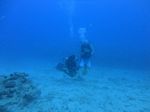 Hawaii Scuba divng 78