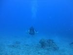 Hawaii Scuba divng 79