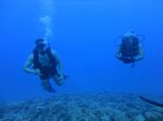 Hawaii Scuba divng 80