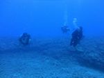 Hawaii Scuba divng 81