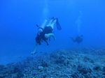 Hawaii Scuba divng 82