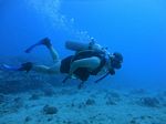 Hawaii Scuba divng 84