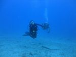 Hawaii Scuba divng 86