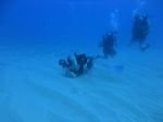 Hawaii Scuba divng 87