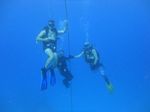 Hawaii Scuba divng 92