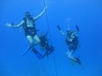 Hawaii Scuba divng 93