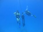 Hawaii Scuba divng 94