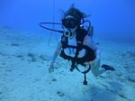 Hawaii Scuba divng 14