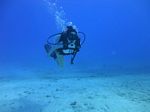 Hawaii Scuba divng 15