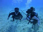 Hawaii Scuba divng 17