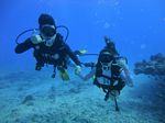 Hawaii Scuba divng 21