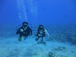 Hawaii Scuba divng 23