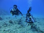 Hawaii Scuba divng 24