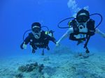 Hawaii Scuba divng 26