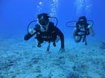 Hawaii Scuba divng 28