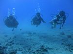 Hawaii Scuba divng 38