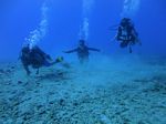 Hawaii Scuba divng 39