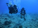 Hawaii Scuba divng 40