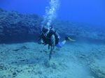 Hawaii Scuba divng 42