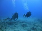 Hawaii Scuba divng 43