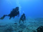 Hawaii Scuba divng 44