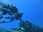 Hawaii Scuba divng 51