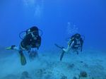 Hawaii Scuba divng 51