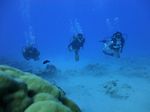 Hawaii Scuba divng 53