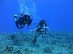 Hawaii Scuba divng 56