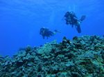 Hawaii Scuba divng 57