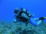 Hawaii Scuba divng 63