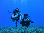 Hawaii Scuba divng 64