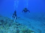 Hawaii Scuba divng 66