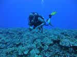 Hawaii Scuba divng 72