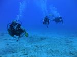 Hawaii Scuba divng 73