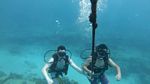 Hawaii scuba 25