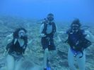 Hawaii Scuba divng 11