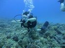 Hawaii Scuba divng 14