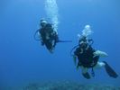 Hawaii Scuba divng 15