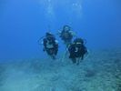 Hawaii Scuba divng 16