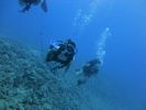 Hawaii Scuba divng 20