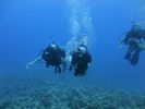 Hawaii Scuba divng 21