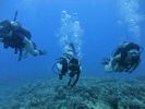 Hawaii Scuba divng 22