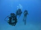 Hawaii Scuba divng 27