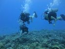 Hawaii Scuba divng 28